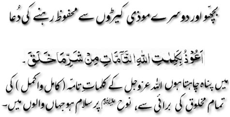 Bicho aur dosray mozi kiro say mahfuz rahnay ki dua